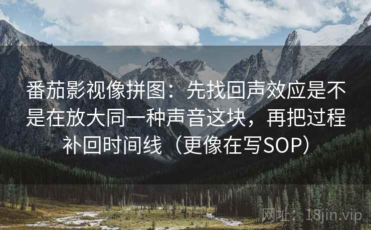 番茄影视像拼图：先找回声效应是不是在放大同一种声音这块，再把过程补回时间线（更像在写SOP）